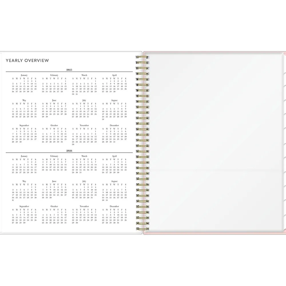 2025 Planners|Blue Sky 2025 Julissa 8.5" x 11" Weekly & Monthly Planner, Plastic Cover, Multicolor (152231)