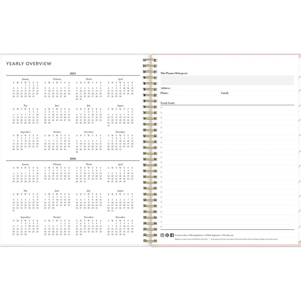 2025 Planners|Blue Sky 2025 Julissa 8.5" x 11" Weekly & Monthly Planner, Plastic Cover, Multicolor (152231)