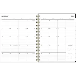 2025 Planners|Blue Sky 2025 Leafy Lounge 8.5