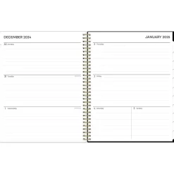 2025 Planners|Blue Sky 2025 Lolani 8.5" x 11" Weekly & Monthly Planner, Plastic Cover, Green/Gray (147968)