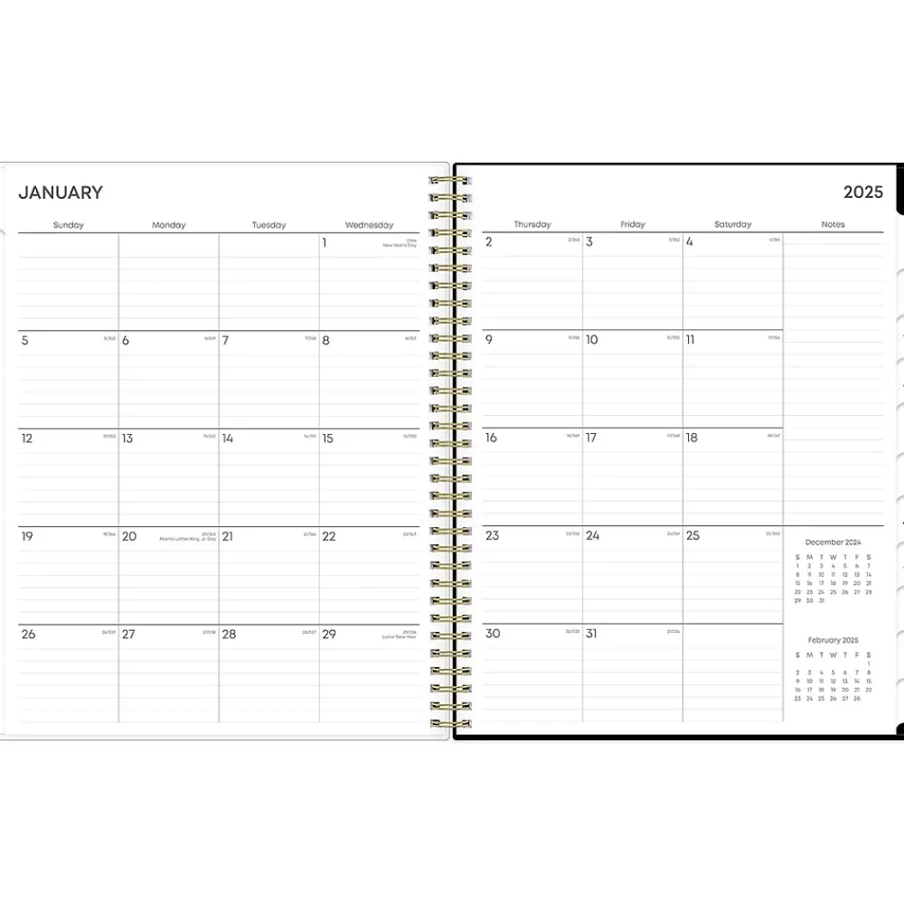 2025 Planners|Blue Sky 2025 Nevaeh 8.5" x 11" Weekly & Monthly Planner, Plastic Cover, Multicolor (143945-25)