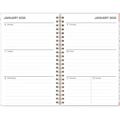 2025 Planners|Blue Sky 2025 Paradise Again 5" x 8" Weekly & Monthly Planner, Plastic Cover, Multicolor (148331)