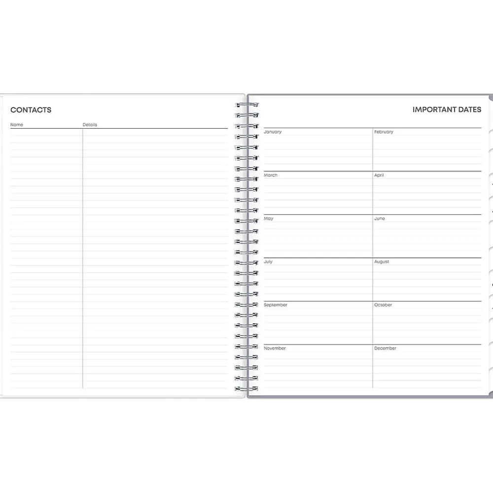 2025 Planners|Blue Sky 2025 Rue Du Flore 8" x 10" Monthly Planner, Plastic Cover, Green/Gray (101605-25)