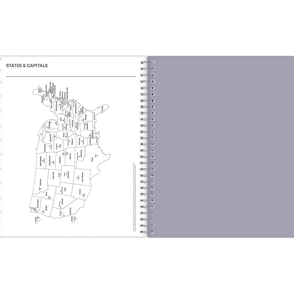 2025 Planners|Blue Sky 2025 Rue Du Flore 8" x 10" Monthly Planner, Plastic Cover, Green/Gray (101605-25)