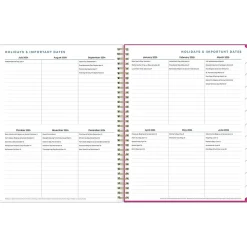 Academic Planners|Blue Sky 2024-2025 Star Confetti Bright 8.5