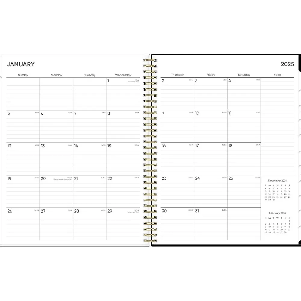 2025 Planners|Blue Sky 2025 Vonnie 8.5" x 11" Weekly & Monthly Planner, Plastic Cover, Multicolor (152196)