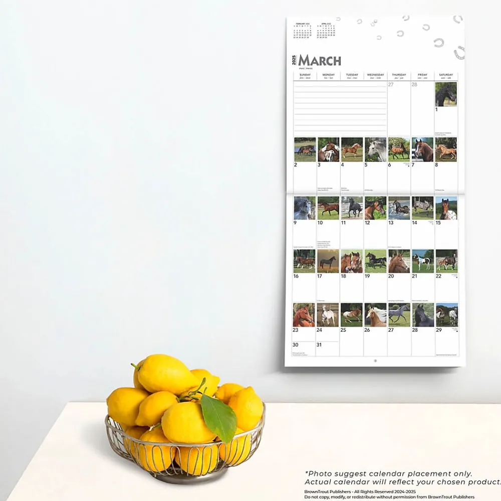 2025 Calendars|BrownTrout 2025 365 Days of Horses 12" x 12" Monthly Wall Calendar (9781975477165)