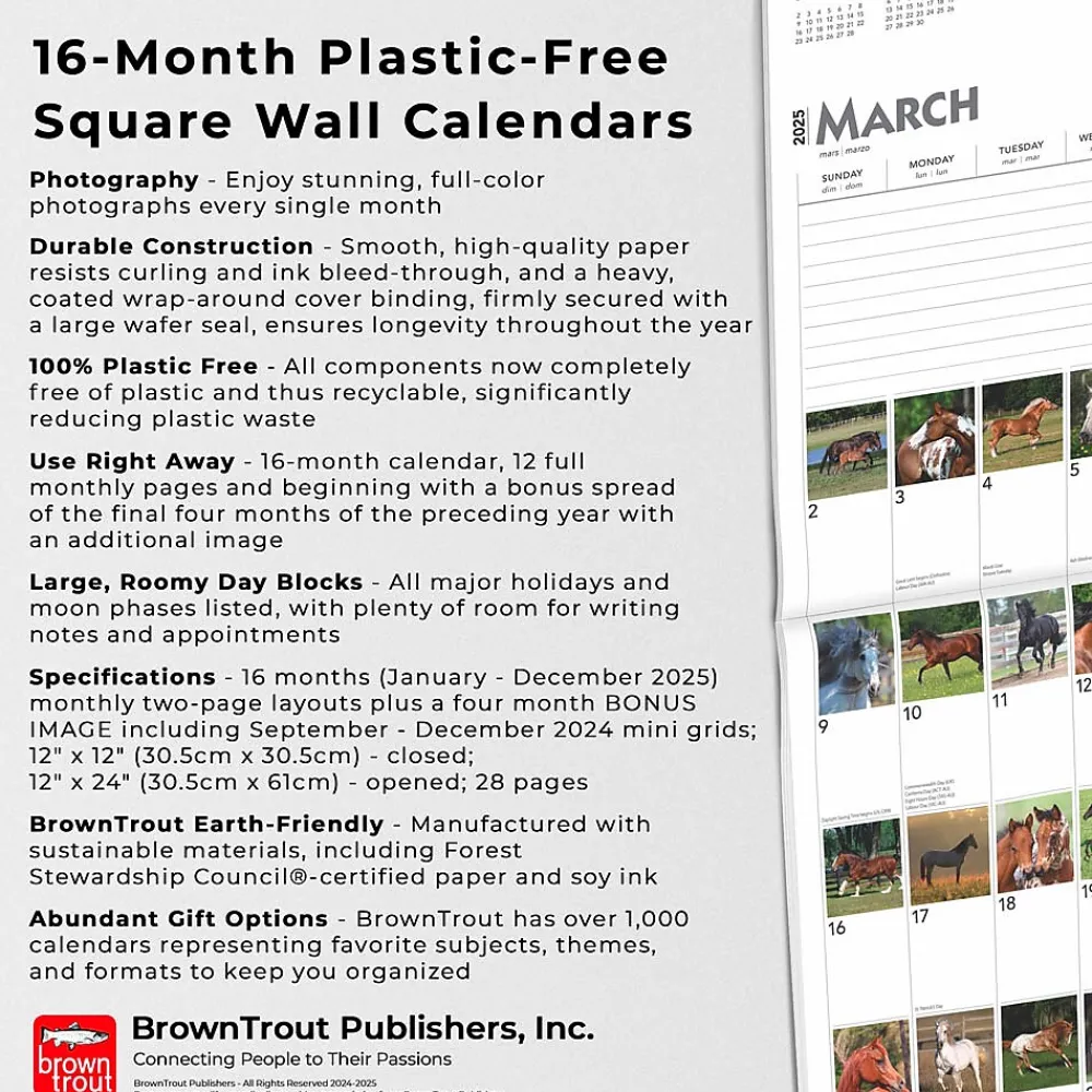 2025 Calendars|BrownTrout 2025 365 Days of Horses 12" x 12" Monthly Wall Calendar (9781975477165)