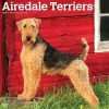 2025 Calendars|BrownTrout 2025 Airedale Terriers 12" x 12" Monthly Wall Calendar (9781975476472)