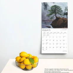 2025 Calendars|BrownTrout 2025 Alaska Wild & Scenic 12