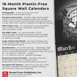 2025 Calendars|BrownTrout 2025 Alchemy Gothic 12