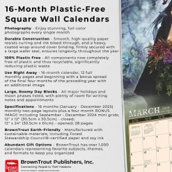 2025 Calendars|BrownTrout 2025 Alchemy Witches OFFICIAL 12