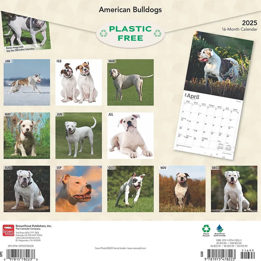 2025 Calendars|BrownTrout 2025 American Bulldogs 12" x 12" Monthly Square Wall Calendar (9781975478223)
