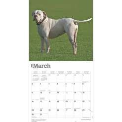 2025 Calendars|BrownTrout 2025 American Bulldogs 12