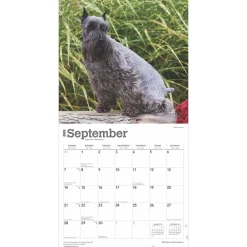 2025 Calendars|BrownTrout 2025 ature Schnauzers 12