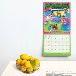 2025 Calendars|BrownTrout 2025 Avanti Dogs Gone Wild 12