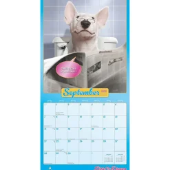 2025 Calendars|BrownTrout 2025 Avanti Livin' the Dream 12