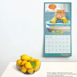 2025 Calendars|BrownTrout 2025 Avanti Livin' the Dream 12