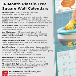 2025 Calendars|BrownTrout 2025 Avanti Livin' the Dream 12