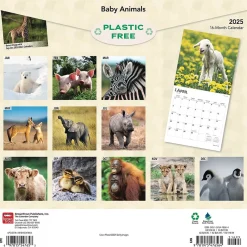 2025 Calendars|BrownTrout 2025 Baby Animals 12" x 12" Monthly Square Wall Calendar (9781975476564)
