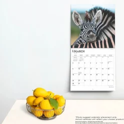 2025 Calendars|BrownTrout 2025 Baby Animals 12
