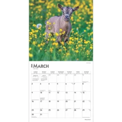2025 Calendars|BrownTrout 2025 Baby Goats 12