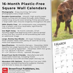 2025 Calendars|BrownTrout 2025 Baby Moo Moos 12