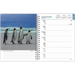 2025 Planners|BrownTrout 2025 Beaches 6