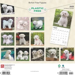 2025 Calendars|BrownTrout 2025 Bichon Frise Puppies 12" x 12" Monthly Wall Calendar (9781975474508)