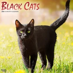 2025 Calendars|BrownTrout 2025 Black Cats 12" x 12" Monthly Wall Calendar (9781975476649)