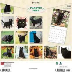2025 Calendars|BrownTrout 2025 Black Cats 12" x 12" Monthly Wall Calendar (9781975476649)