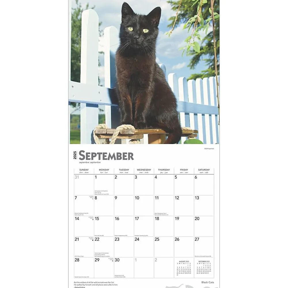 2025 Calendars|BrownTrout 2025 Black Cats 12" x 12" Monthly Wall Calendar (9781975476649)