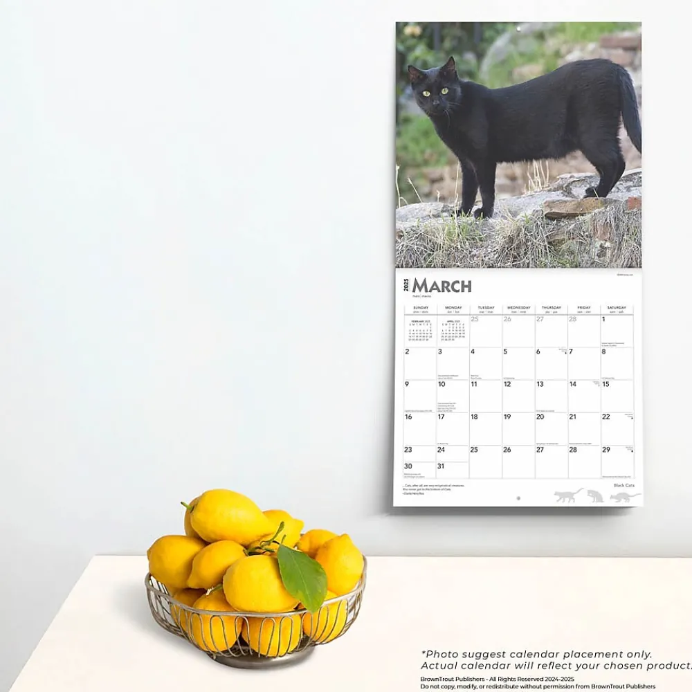 2025 Calendars|BrownTrout 2025 Black Cats 12" x 12" Monthly Wall Calendar (9781975476649)