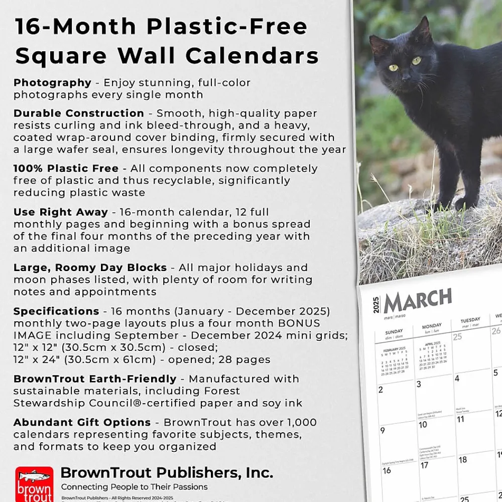 2025 Calendars|BrownTrout 2025 Black Cats 12" x 12" Monthly Wall Calendar (9781975476649)
