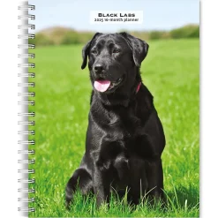 2025 Planners|BrownTrout 2025 Black Labrador Retrievers 6" x 7.75" Weekly Engagement Planner, Paper Cover, Multicolored (9781975473235)