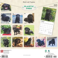 2025 Calendars|BrownTrout 2025 Black Labrador Retriever Puppies 12" x 12" Monthly Wall Calendar (9781975477318)