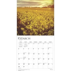 2025 Calendars|BrownTrout 2025 Blessings 12
