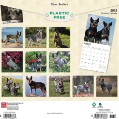 2025 Calendars|BrownTrout 2025 Blue Heelers 12" x 12" Monthly Wall Calendar (9781975476663)