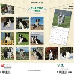 2025 Calendars|BrownTrout 2025 Border Collies 12" x 12" Monthly Wall Calendar (9781975476687)