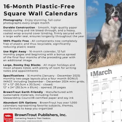 2025 Calendars|BrownTrout 2025 Border Collies 12