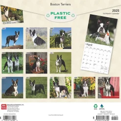 2025 Calendars|BrownTrout 2025 Boston Terriers 12" x 12" Monthly Wall Calendar (9781975476700)