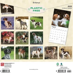 2025 Calendars|BrownTrout 2025 Brittanys 12" x 12" Monthly Wall Calendar (9781975476731)