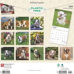 2025 Calendars|BrownTrout 2025 Bulldog Puppies 12" x 12" Monthly Wall Calendar (9781975474539)