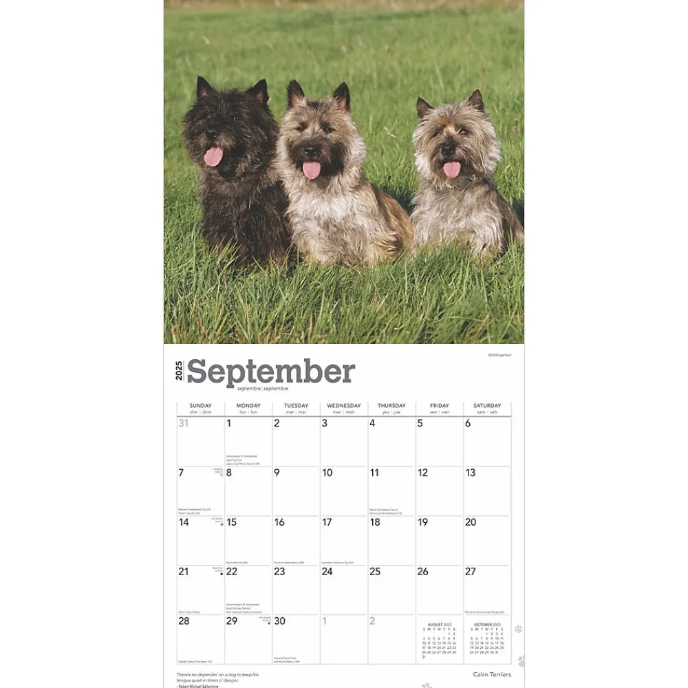 2025 Calendars|BrownTrout 2025 Cairn Terriers 12" x 24" Monthly Square Wall Calendar, (9781975476779)