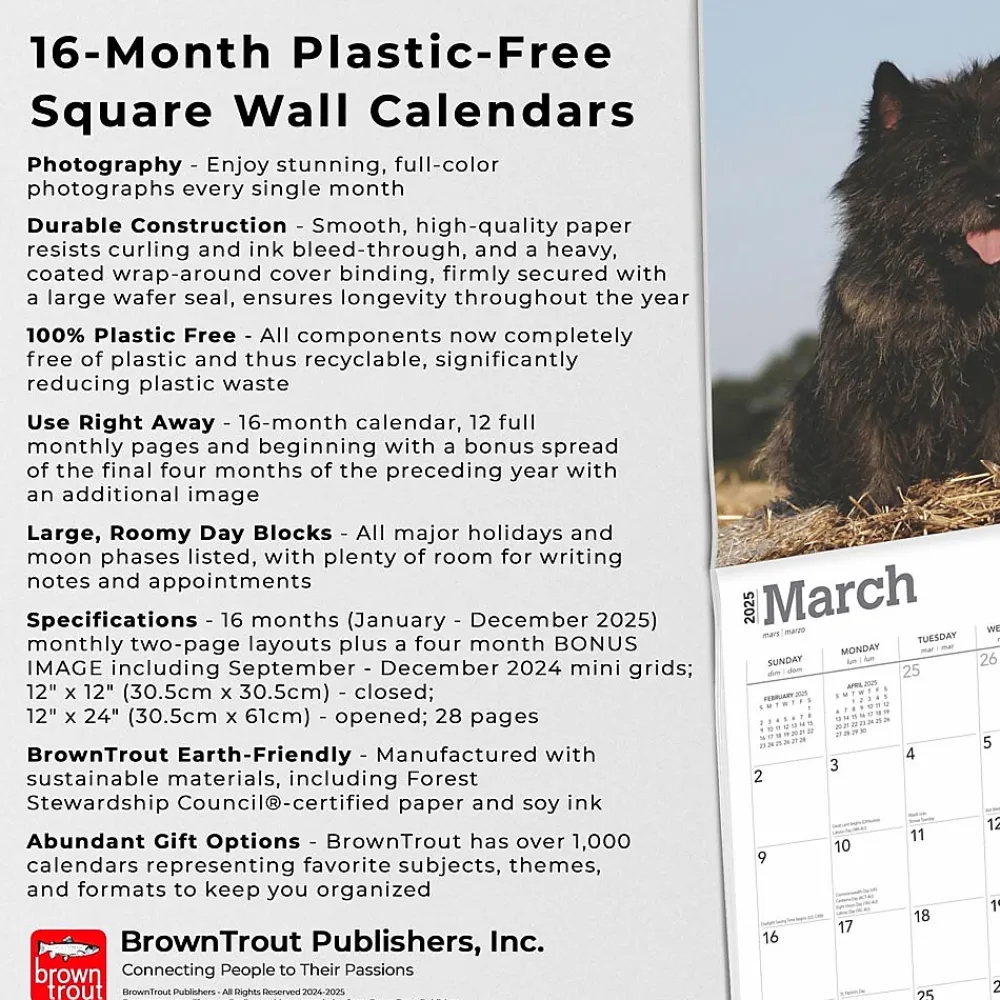 2025 Calendars|BrownTrout 2025 Cairn Terriers 12" x 24" Monthly Square Wall Calendar, (9781975476779)