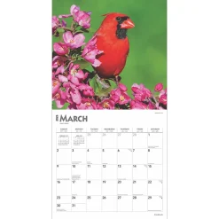 2025 Calendars|BrownTrout 2025 Cardinals 12
