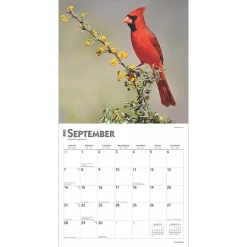 2025 Calendars|BrownTrout 2025 Cardinals 12
