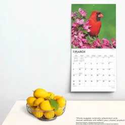 2025 Calendars|BrownTrout 2025 Cardinals 12