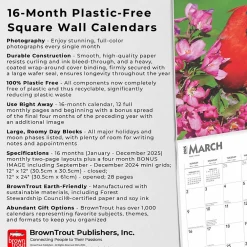 2025 Calendars|BrownTrout 2025 Cardinals 12