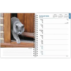 2025 Planners|BrownTrout 2025 Cat Lovers 6